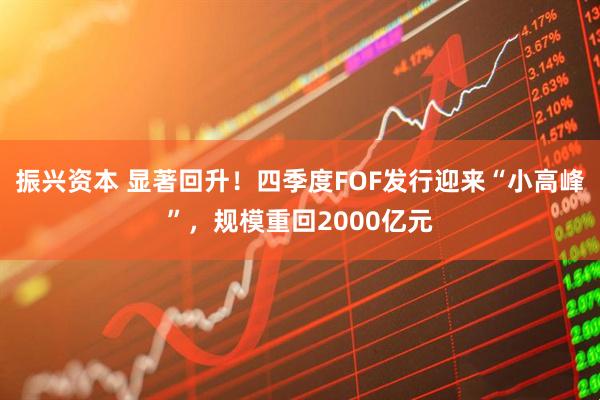 振兴资本 显著回升！四季度FOF发行迎来“小高峰”，规模重回2000亿元