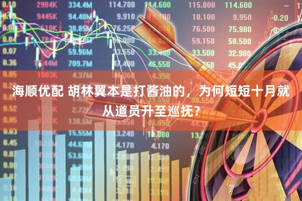 海顺优配 胡林翼本是打酱油的，为何短短十月就从道员升至巡抚？